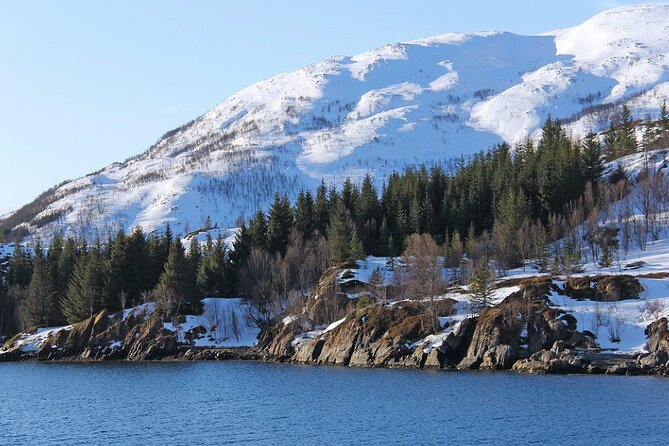 Tromsø, Northern Lights and Wilderness Evening Catamaran Cruise - Meeting Host Carlo