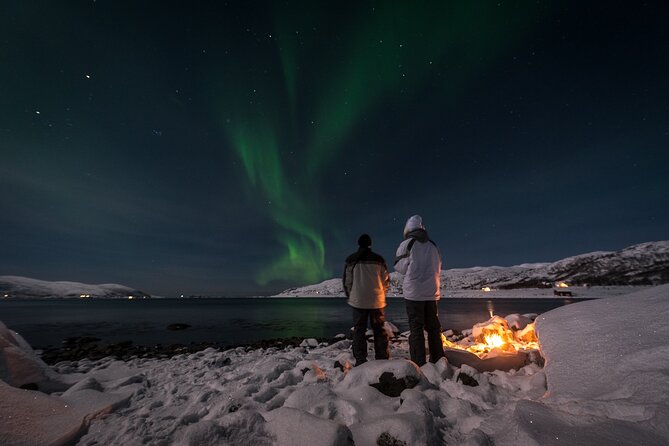 Tromsø Norway - Small Group Aurora Hunt Tour With a Local Guide - What to Expect