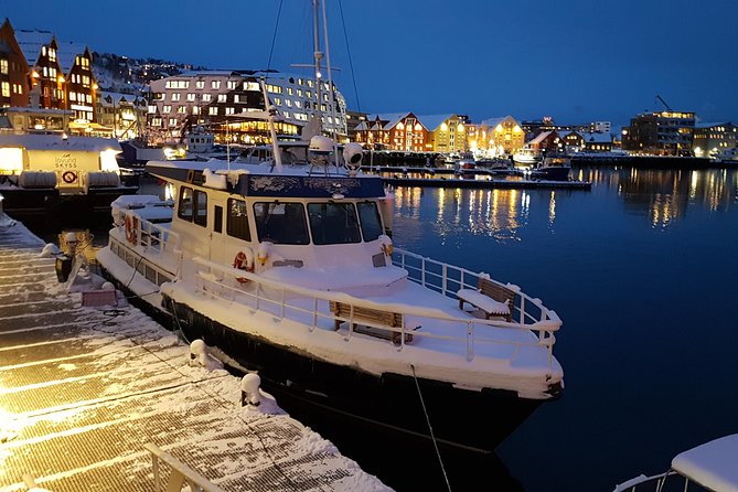 Tromso: Private City Walking Tour - Meeting and Pickup Information