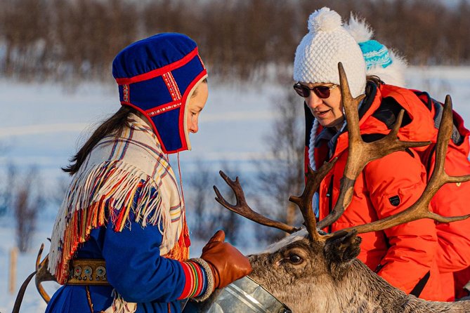 Tromsø Reindeer & Sami Culture Experience (Mar ) - Sami Culture Insights