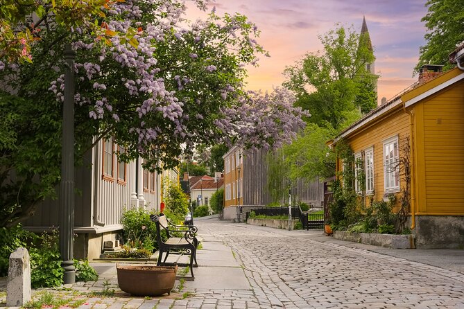 Trondheim's Eternal Love Trail Private Walking Tour - Romantic Spots Along the Trail