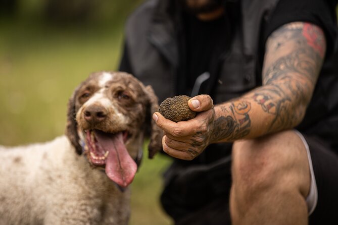 Truffle Hunting at Meteora - Trained Dogs for Finding Truffles