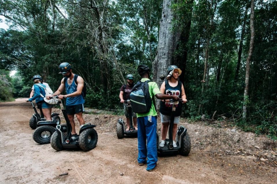 Tsitsikamma National Park: 1 or 2-Hour Segway Tour - Experience Highlights