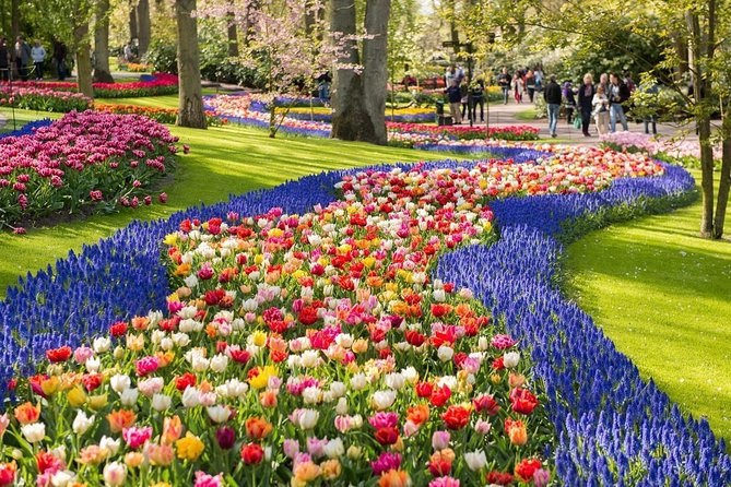 Tulip Experience and Keukenhof Flower Gardens Tour From Amsterdam - Itinerary Highlights