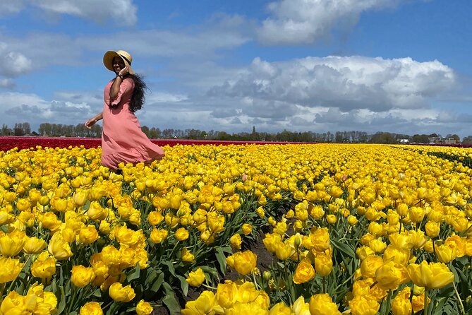 Tulip Field With a Dutch Windmill Tour From Amsterdam - Tour Experience