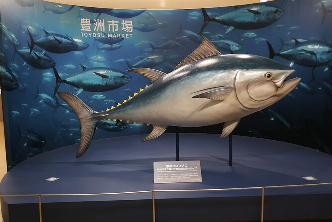 Tuna Auction and Tokyo Toyosu Fish Market Tour - Tour Details