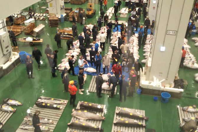 Tuna Auction at Toyosu Market With Qualified Guide and Early Morning Tour of Tsukiji Outer Market - Reviews and Ratings From Participants