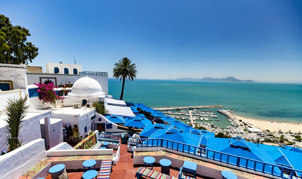 Tunis: Full-Day Sightseeing Tour With Lunch - Tour Experience