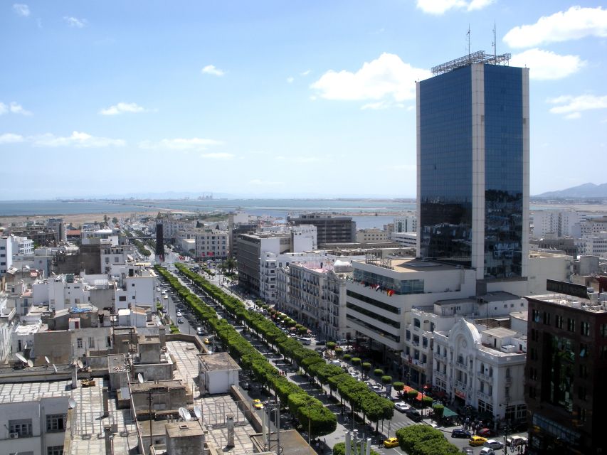 Tunis: Guided Tour With Bardo Museum, El-Zitouna, and Medina - Experience Highlights