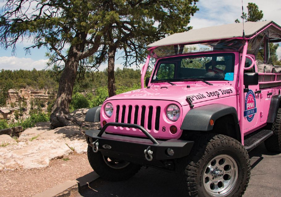 Tusayan: Grand Canyon Desert View & South Rim Pink Jeep Tour - Experience Highlights