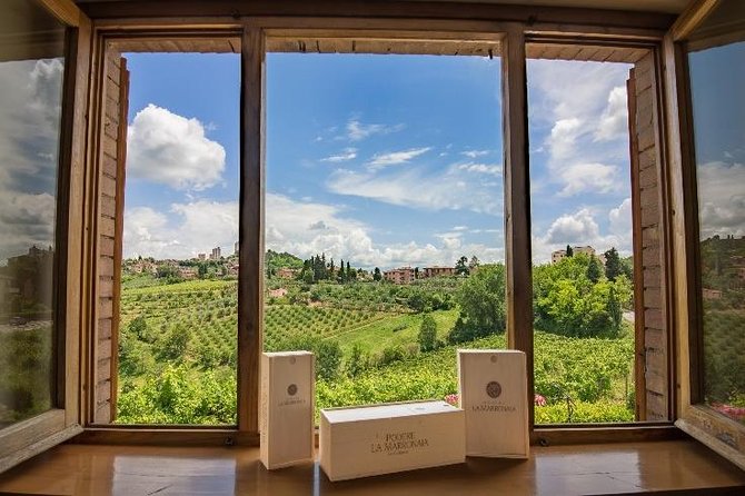 Tuscany Wine and Olive Oil Tasting With Lunch  - San Gimignano - Logistics