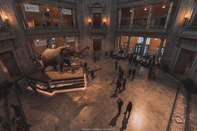 Two Smithsonian Museums: American & Natural History Private Tour - Personalized Experience