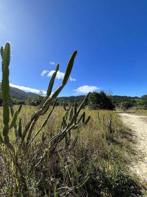 Ubatuba - Lagoon Beach Trail Circuit - Experience Highlights