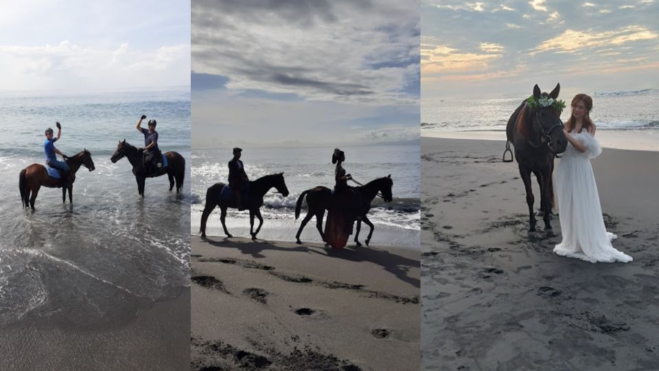 Ubud: 1 Hour Beach Horse Riding With Transfer - Inclusions