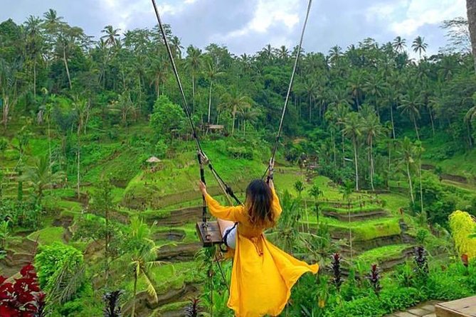 Ubud DayTrip : Monkey Forest - Rice Terrace - Jungle Swing - Water Temple - Pricing Information