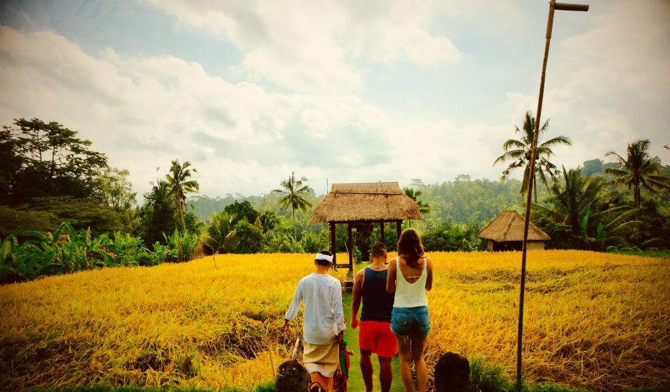 Ubud: Half-Day Semi-Customized Private-Tour With Live Guide - Experience Highlights