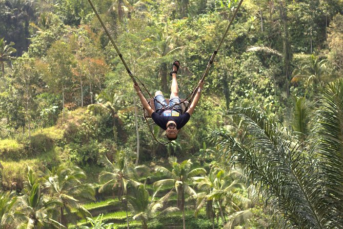 Ubud Highlights Private Tour With Swing and Batuan Temple  - Seminyak - Meeting and Pickup Information