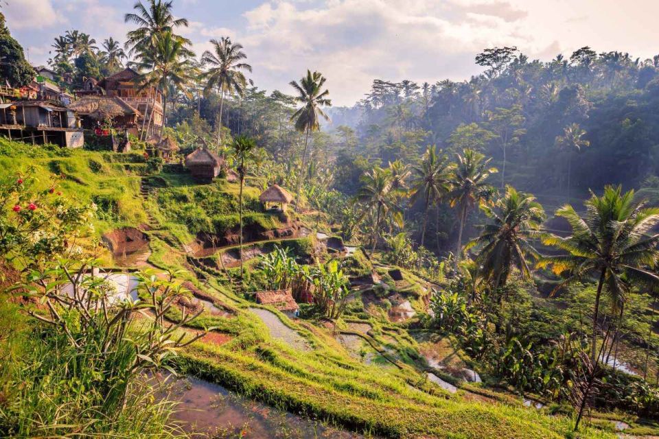 Ubud: Highlights Small Group Guided Tour - Pickup Locations and Transportation