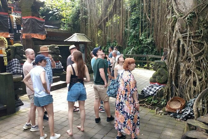 Ubud Private Tour All Inclusive. - Pickup Information