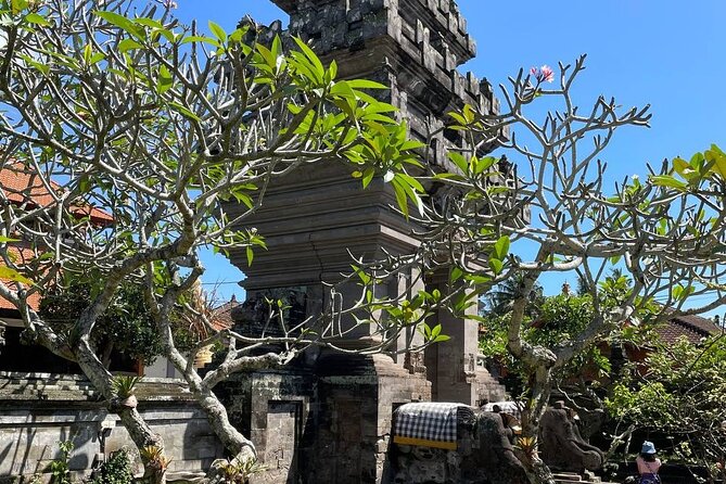 Ubud Private Traditional Tour: Transfers From Any Bali Hotel (Mar ) - Inclusions and Exclusions
