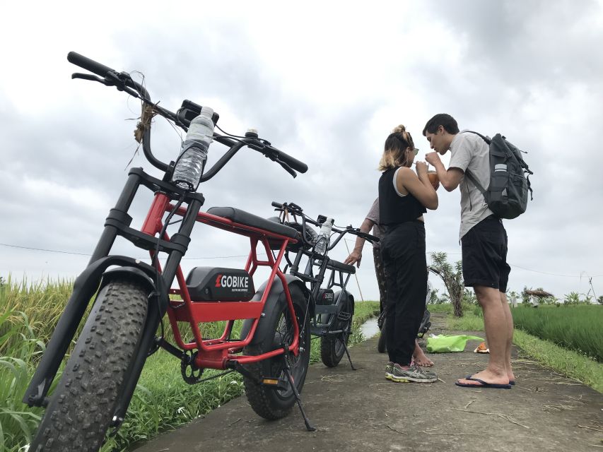 Ubud: Rice Terraces & Villages Half-Day Fat Tire E-Bike Tour - Tour Highlights