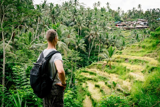 Ubud Small Group Tour: Monkey Forest, Tegalalang Rice Terraces and More - Pricing and Inclusions