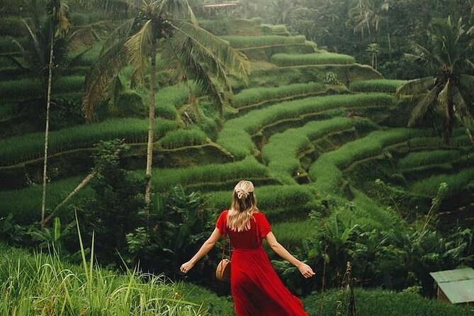 Ubud: Swing - Monkey Forest - Waterfall - Temple - Rice Terraces - Art Crafts - Chasing Waterfalls in Ubud