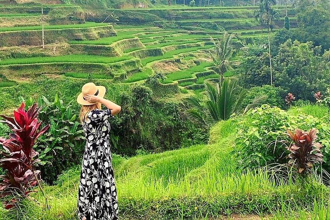 Ubud Tour - Ubud Highlight - Private Tour All Inclusive - Inclusions and Exclusions