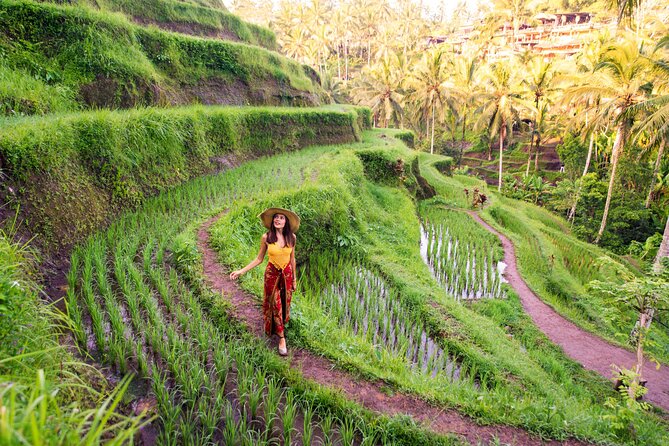 Ubud Tour With Swing, Temple, Monkey Forest, and Waterfall - Reviews and Ratings