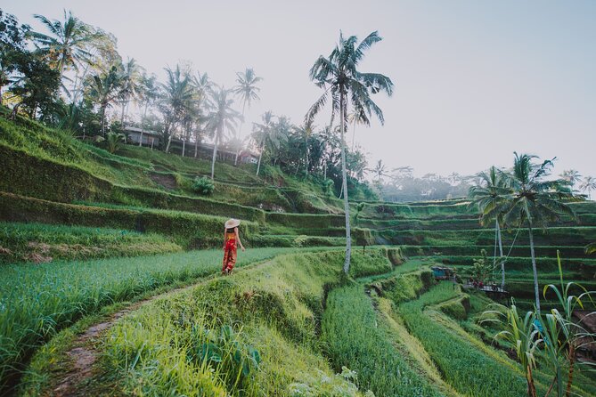 Ubud: Waterfall, Rice Terraces, and Monkey Forest Private Tour - Traveler Reviews