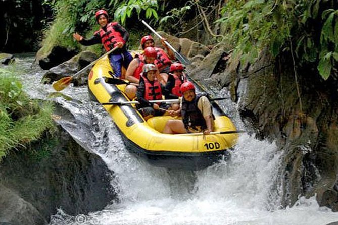 Ubud White-Water Rafting With Lunch and Private Transfers (Mar ) - Inclusions and Activity Options