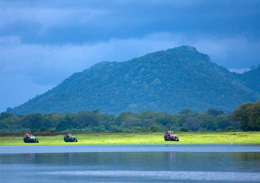 Udawalawe National Park Private Full-Day Safari - Experience Highlights