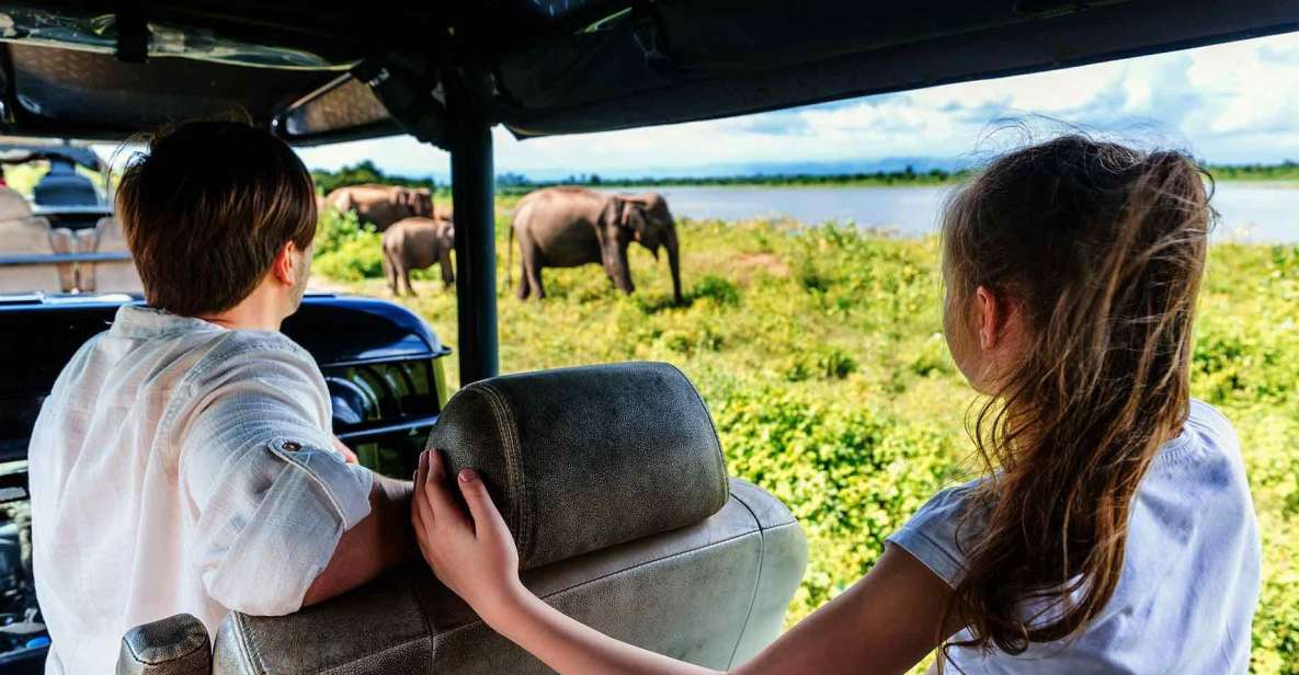 Udawalawe: National Park Safari & Elephant Transit Home Tour - Experience Highlights