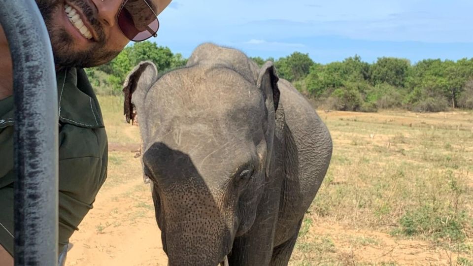 Udawalawe National Park Wildlife Safari From Galle - Highlights of Udawalawe National Park