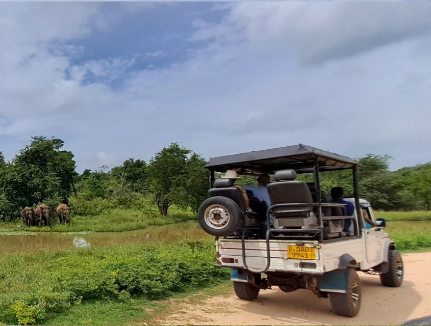 Udawalawe Safari Tour - Safari Highlights