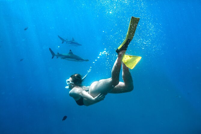 Ultimate Encounter Snorkel With Sharks in Fiji - Convenient Pickup Details and Safety Measures