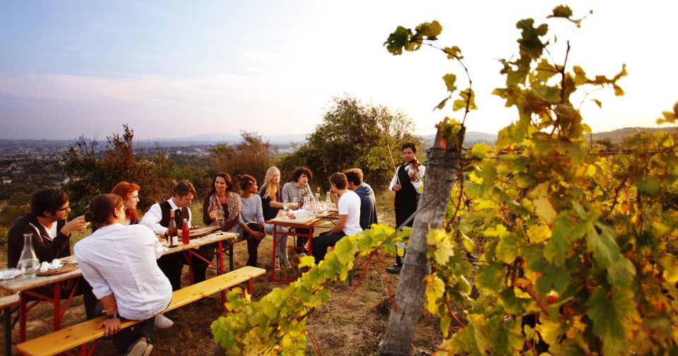 Ultimate Maipú Experience - Wineries & Lunch - Wineries and Lunch Experience