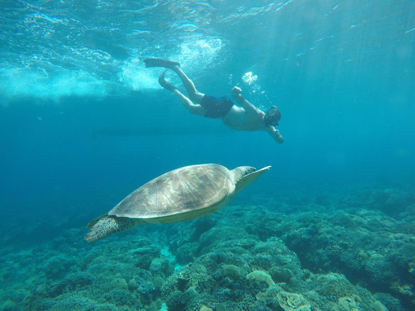 Unforgetable Private Snorkeling Trip - Snorkeling and Tour Experiences