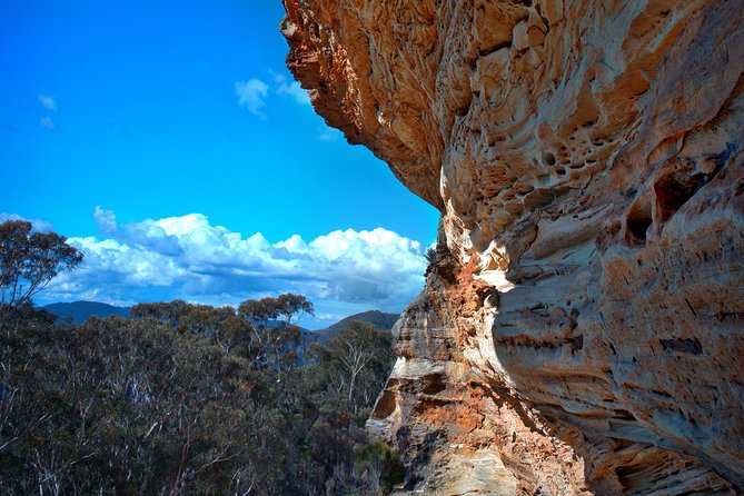 Unforgettable Blue Mountains Day Tour - Exclusive Small-Group Experience