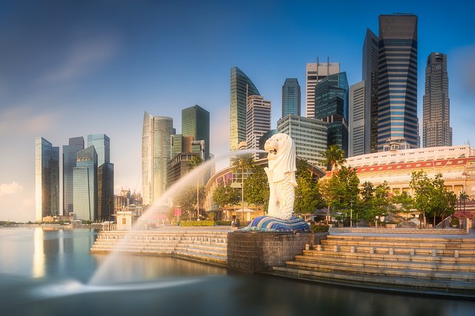 Unveiling Singapores Gems: A Private Walking Tour of Wonders - Private Tour Guide Information