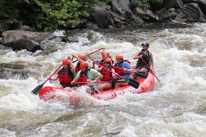 Upper Pigeon River Rafting Trip From Hartford - Inclusions Provided