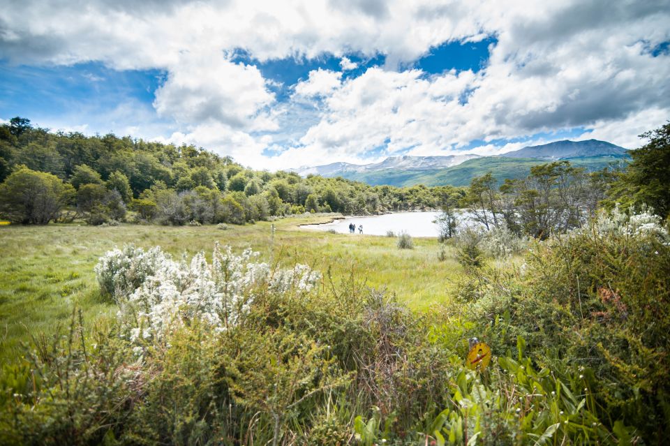 Ushuaia: Full Day Trip to Tierra Del Fuego National Park - Cancellation and Booking Flexibility