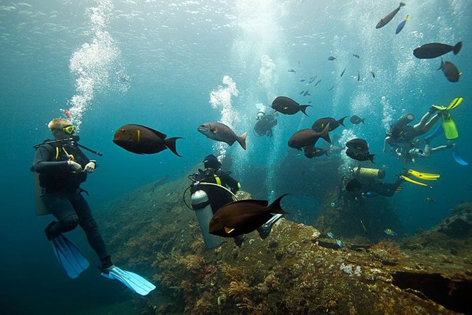 USS Liberty Shipwreck Scuba Diving at Tulamben Bali - Complimentary Hotel Pick-up/Drop-off