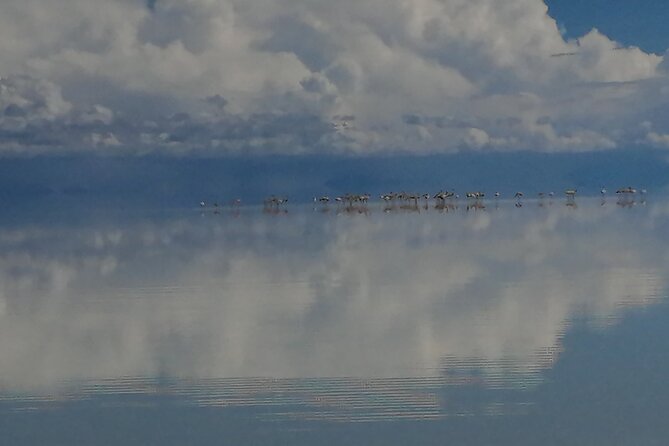 Uyuni Salt Flat 1 Day Tour Sunset in the Salt Water Region With Mirror Effect - Cancellation and Refund Policy