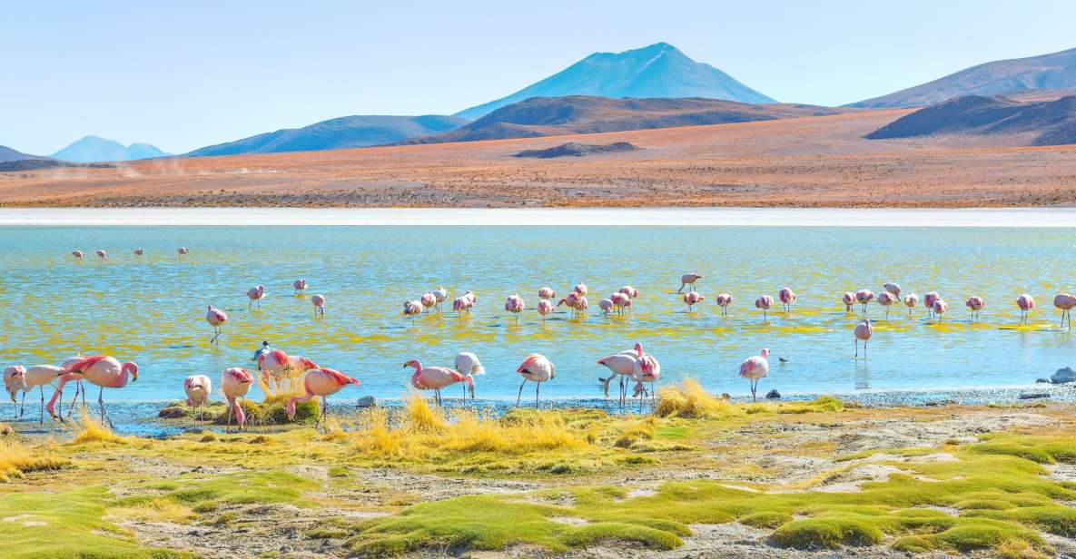 Uyuni Salt Flats and Red Lagoon 3-Days English in Guide - Booking Information