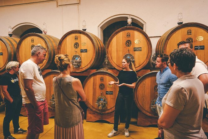 Valpolicella and Amarone Wine-Tasting Tour From Verona - Inclusions