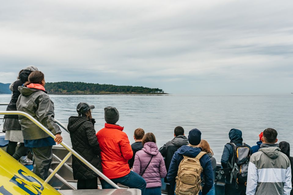 Vancouver, BC: Whale Watching Tour - Experience Highlights