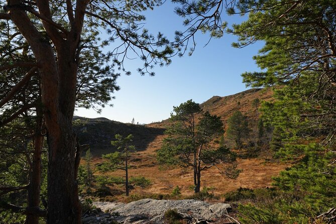 Varden Molde Panorama Hike Tour - Transportation Details