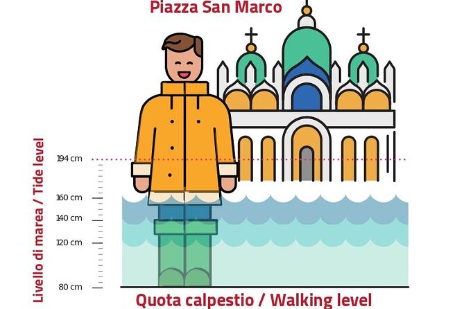 Venice, the Lagoon, and Acqua Alta Small-Group Guided Tour (Mar ) - Meeting Point Information