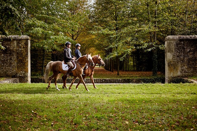 Versailles Private Tour : Horse-riding, Gastronomy & the Palace - Customer Reviews